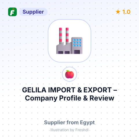 GELILA IMPORT & EXPORT – summary card, no photo uploaded yet