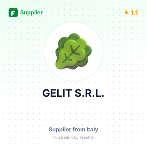 GELIT S.R.L. – summary card, no photo uploaded yet