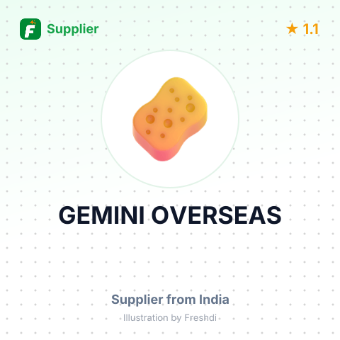 GEMINI OVERSEAS – summary card, no photo uploaded yet