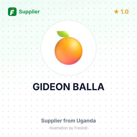 GIDEON BALLA – summary card, no photo uploaded yet