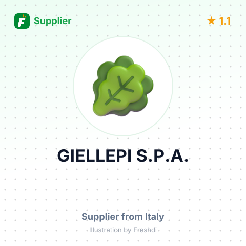 GIELLEPI S.P.A. – summary card, no photo uploaded yet