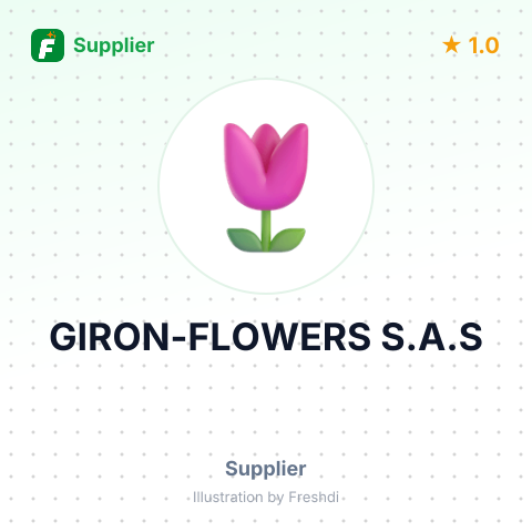 GIRON-FLOWERS S.A.S – summary card, no photo uploaded yet