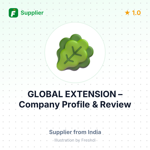 GLOBAL EXTENSION – summary card, no photo uploaded yet