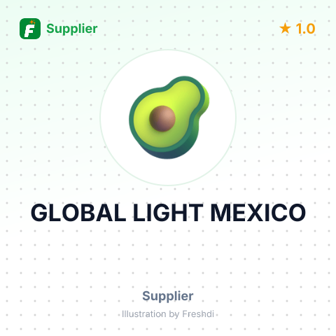 GLOBAL LIGHT MEXICO – summary card, no photo uploaded yet