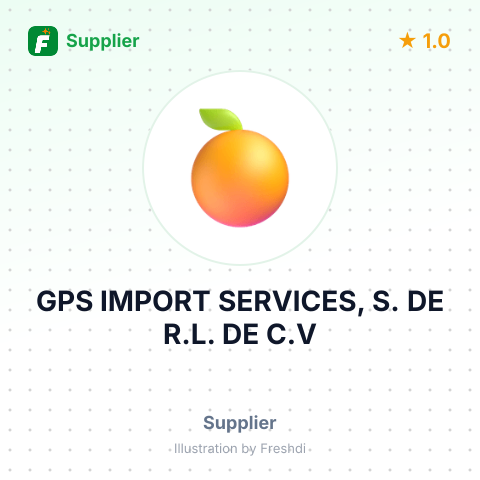 GPS IMPORT SERVICES, S. DE R.L. DE C.V – summary card, no photo uploaded yet