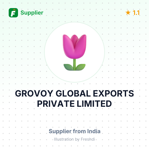 GROVOY GLOBAL EXPORTS PRIVATE LIMITED – summary card, no photo uploaded yet
