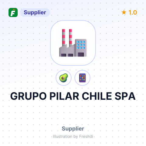 GRUPO PILAR CHILE SPA – summary card, no photo uploaded yet