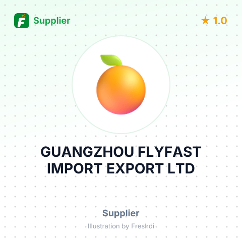 GUANGZHOU FLYFAST IMPORT EXPORT LTD – summary card, no photo uploaded yet