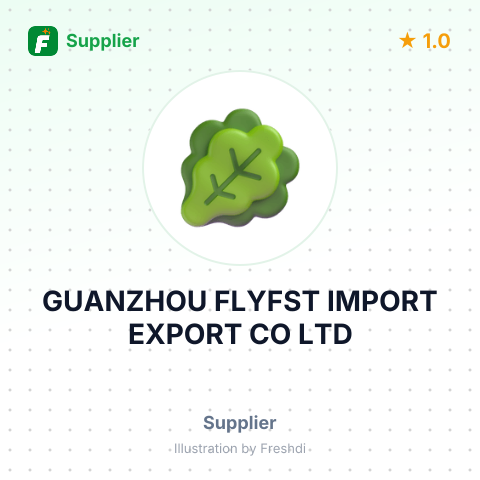 GUANZHOU FLYFST IMPORT EXPORT CO LTD – summary card, no photo uploaded yet
