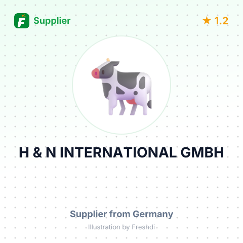 H & N INTERNATIONAL GMBH – summary card, no photo uploaded yet