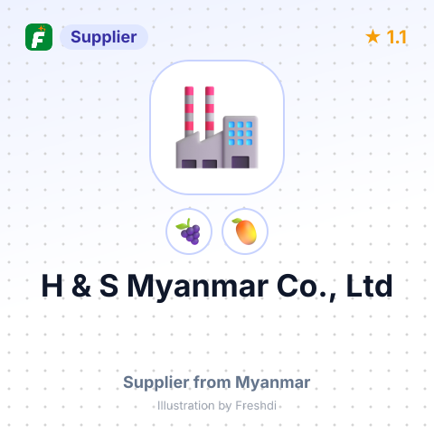 H & S Myanmar Co., Ltd  – summary card, no photo uploaded yet