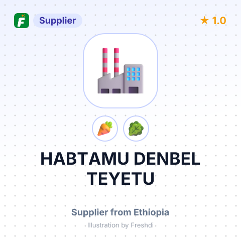 HABTAMU DENBEL TEYETU – summary card, no photo uploaded yet