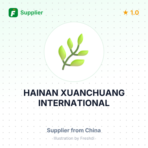 HAINAN XUANCHUANG INTERNATIONAL – summary card, no photo uploaded yet