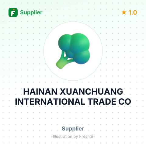 HAINAN XUANCHUANG INTERNATIONAL TRADE CO – summary card, no photo uploaded yet