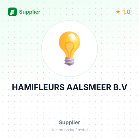 HAMIFLEURS AALSMEER B.V – summary card, no photo uploaded yet