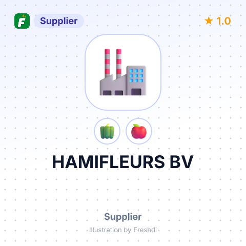 HAMIFLEURS BV – summary card, no photo uploaded yet