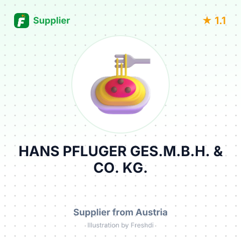 HANS PFLUGER GES.M.B.H. & CO. KG. – summary card, no photo uploaded yet