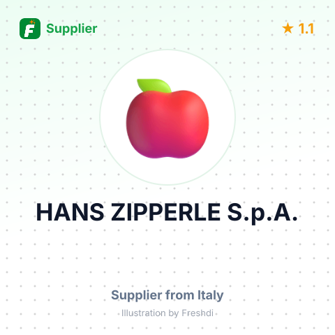HANS ZIPPERLE S.p.A. – summary card, no photo uploaded yet