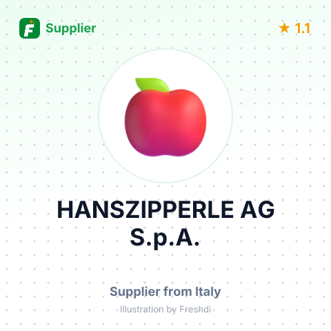 HANSZIPPERLE AG S.p.A. – summary card, no photo uploaded yet