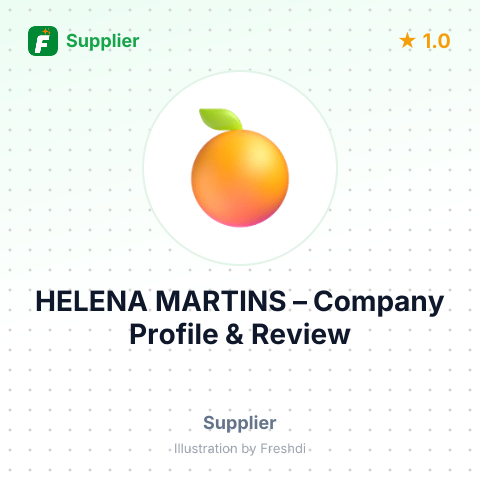 HELENA MARTINS – summary card, no photo uploaded yet
