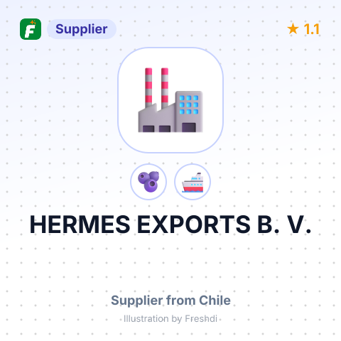 HERMES EXPORTS B. V. – summary card, no photo uploaded yet