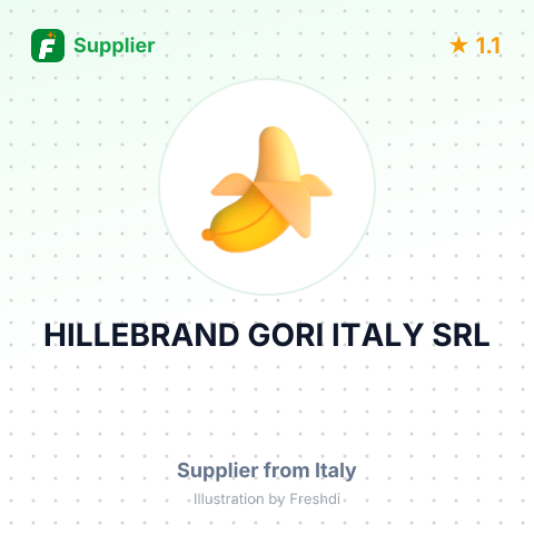 HILLEBRAND GORI ITALY SRL – summary card, no photo uploaded yet