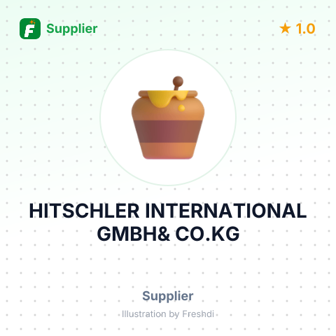 HITSCHLER INTERNATIONAL GMBH& CO.KG – summary card, no photo uploaded yet