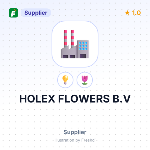 HOLEX FLOWERS B.V – summary card, no photo uploaded yet