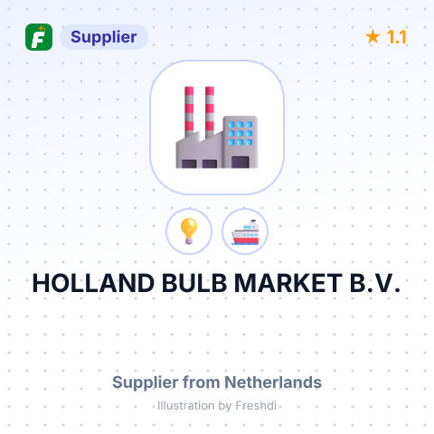 HOLLAND BULB MARKET B.V. – summary card, no photo uploaded yet