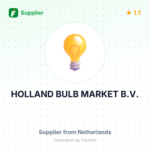 HOLLAND BULB MARKET B.V. – summary card, no photo uploaded yet