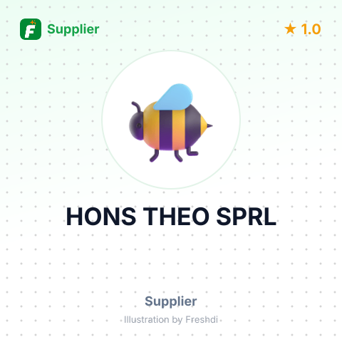 HONS THEO SPRL – summary card, no photo uploaded yet