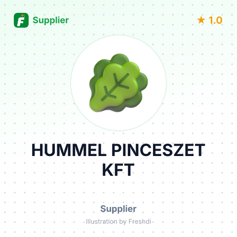 HUMMEL PINCESZET KFT – summary card, no photo uploaded yet