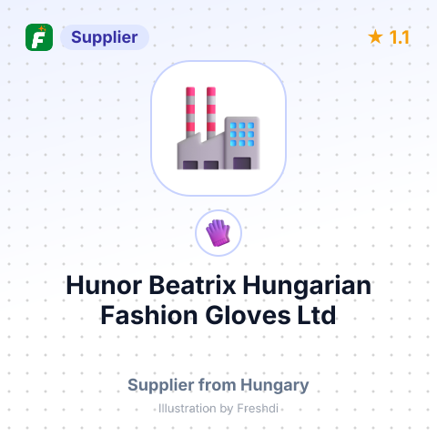 Hunor Beatrix Hungarian Fashion Gloves Ltd – summary card, no photo uploaded yet