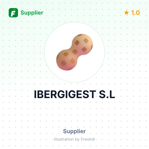 IBERGIGEST S.L – summary card, no photo uploaded yet