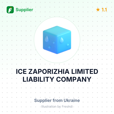 ICE ZAPORIZHIA LIMITED LIABILITY COMPANY – summary card, no photo uploaded yet