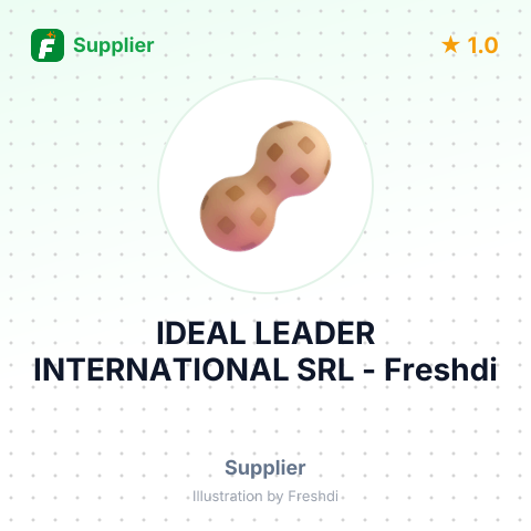 IDEAL LEADER INTERNATIONAL SRL – summary card, no photo uploaded yet