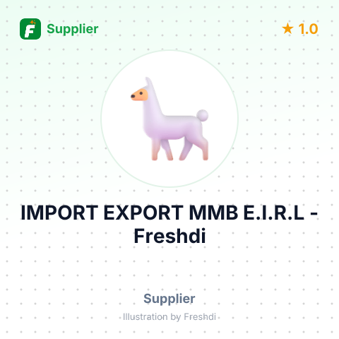 IMPORT EXPORT MMB E.I.R.L – summary card, no photo uploaded yet