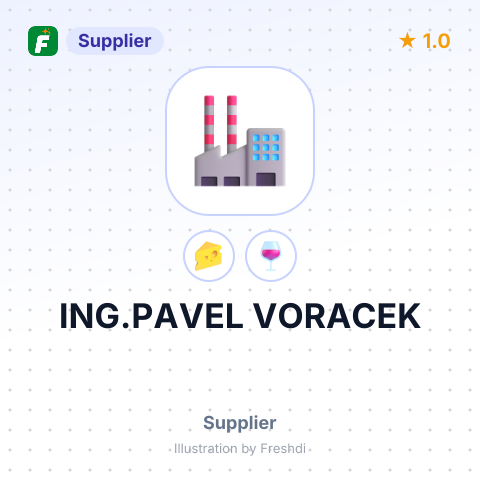 ING.PAVEL VORACEK – summary card, no photo uploaded yet