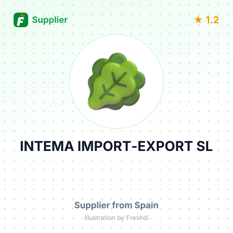 INTEMA IMPORT-EXPORT SL – summary card, no photo uploaded yet