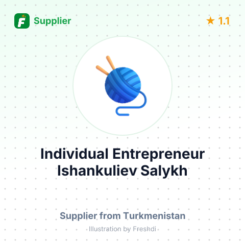 Individual Entrepreneur Ishankuliev Salykh – summary card, no photo uploaded yet