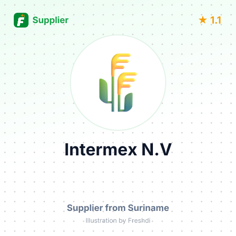 Intermex N.V  – summary card, no photo uploaded yet