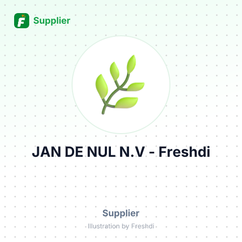JAN DE NUL N.V – summary card, no photo uploaded yet