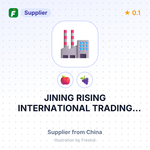 JINING RISING INTERNATIONAL TRADING CO., LTD – summary card, no photo uploaded yet
