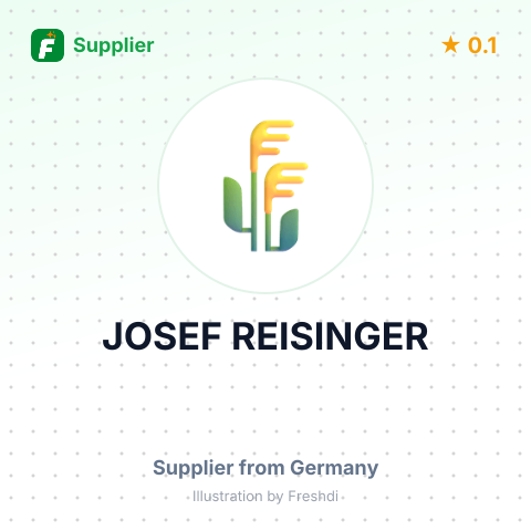 JOSEF REISINGER – summary card, no photo uploaded yet