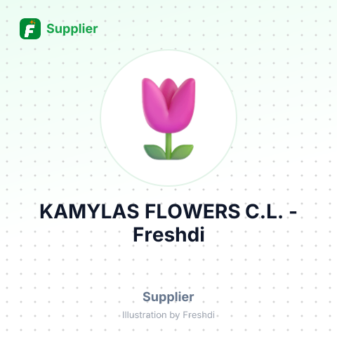 KAMYLAS FLOWERS C.L. – summary card, no photo uploaded yet