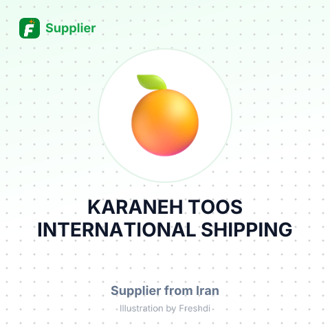 KARANEH TOOS INTERNATIONAL SHIPPING – summary card, no photo uploaded yet