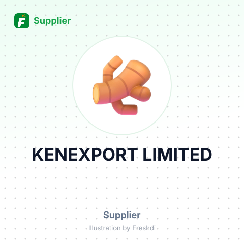 KENEXPORT LIMITED – summary card, no photo uploaded yet
