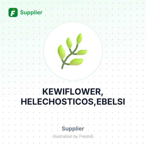 KEWIFLOWER, HELECHOSTICOS,EBELSI – summary card, no photo uploaded yet