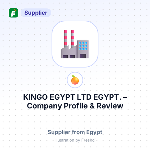KINGO EGYPT LTD EGYPT. – summary card, no photo uploaded yet