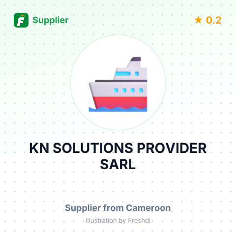KN SOLUTIONS PROVIDER SARL – summary card, no photo uploaded yet
